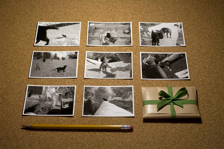 A photograph of the eight prints included in the Cats print packet and the pocket print packet itself, with a pencil present for size reference.