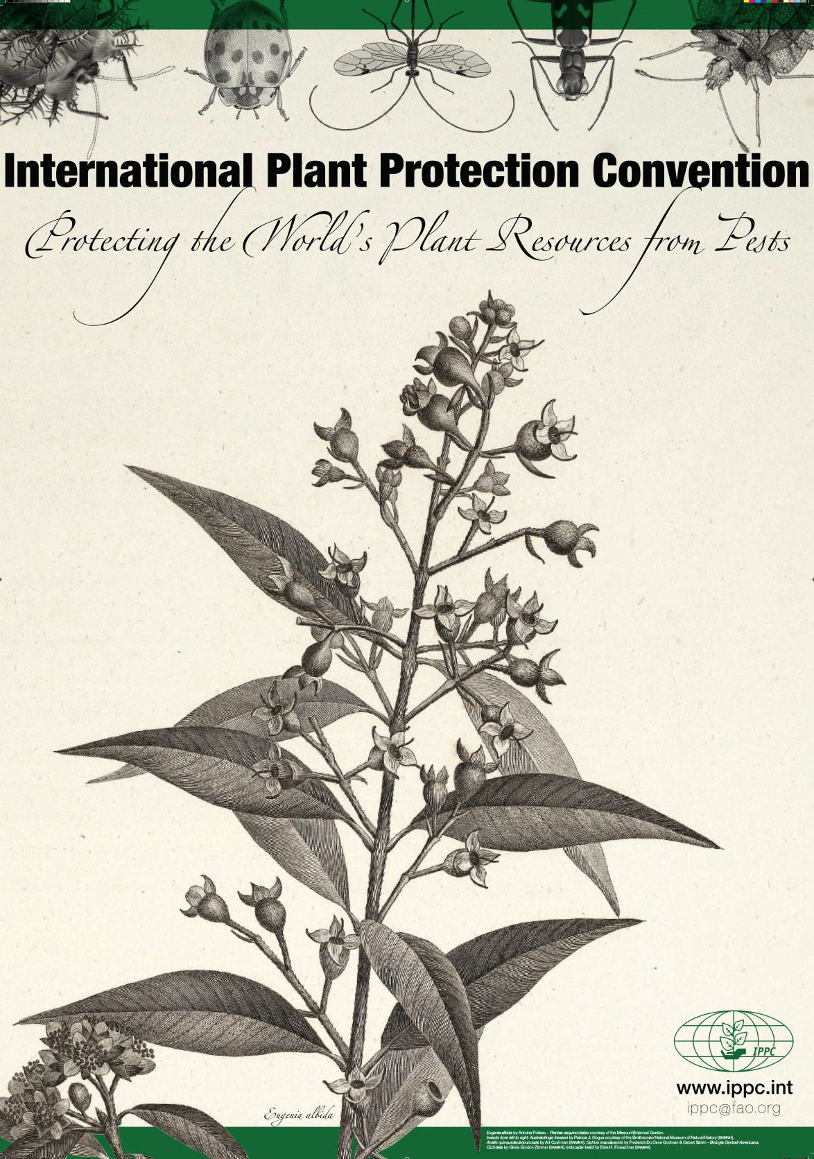 A poster design for the International Plant Protection Convention.