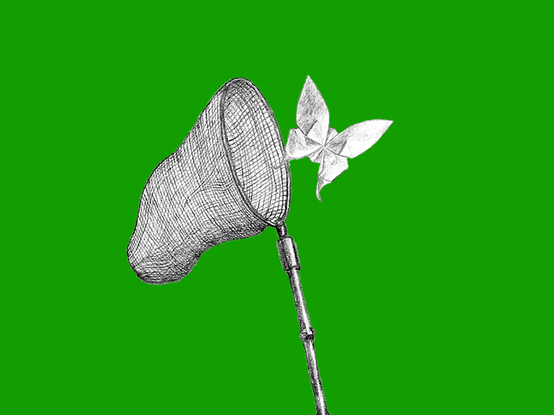 A pencil drawing of a net and origami butterfly on a green background.