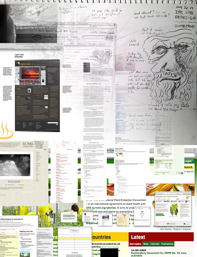 A collage of various websites I’ve worked on.