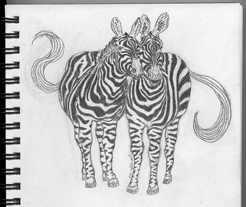 Zebras pencil drawing by Simon Griffee.