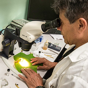 One hand with a pen and one pointing over a piece of paper