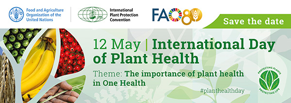 12 May - International Day of Plant Health. Theme: The importance of plant health in One Health. FAO, IPPC, FAO 80 Years. #PlantHealthDay Protecting Plants, Protecting Life.
