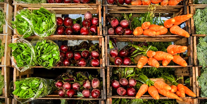Colorful lettuce, beets, carrots, and other vegetables displayed for sale in wooden boxes.