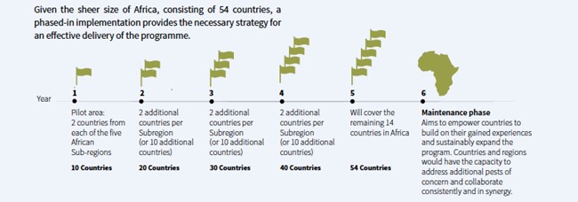 Diagram of implementation strategy.