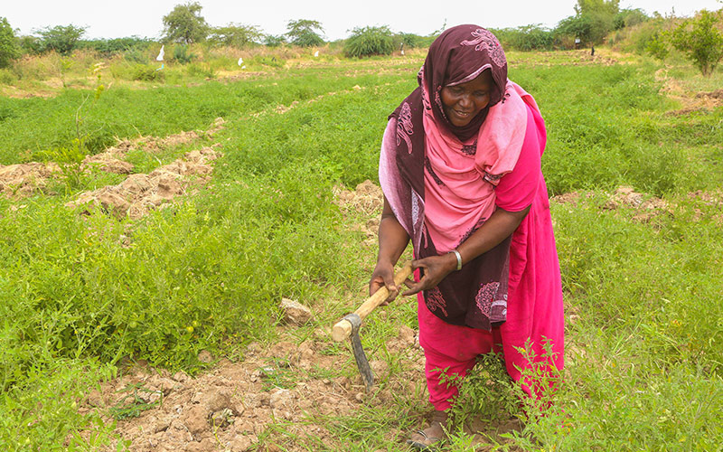 Luul Abdi Hassan, 48 years old, a mother of 6 children is a farmer at Leebow village in the outskirts of Beledweyne town. She plants maize, and vegetables in her small farm. https://www.flickr.com/photos/unsom/51008504452/in/photolist-2m39SLK-2j7PvSW-21hhYd1-ZfiFnC-21fh8T1-DcoGrJ-Zfi7Pb-21hi1yy-DcoJAd-DcoU7h-21fhtnb-GoyBot-21k6EGc-ZfiCmh-21fhbb7-21fheHs-Zfi6no-ZfhCVf-ZfhH8y-21k6JUF-GoyJUv-21hhVJo-DcoSCA-ZfhA79-21fhuD9-GoyFHF-DcoQmb-21k66pF-21fgkfw-2j84tPZ-21k67VB-Zfi9yU-21k6Gza-2kHrVgj