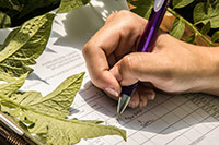 Hand writing with pen on paper by plants.