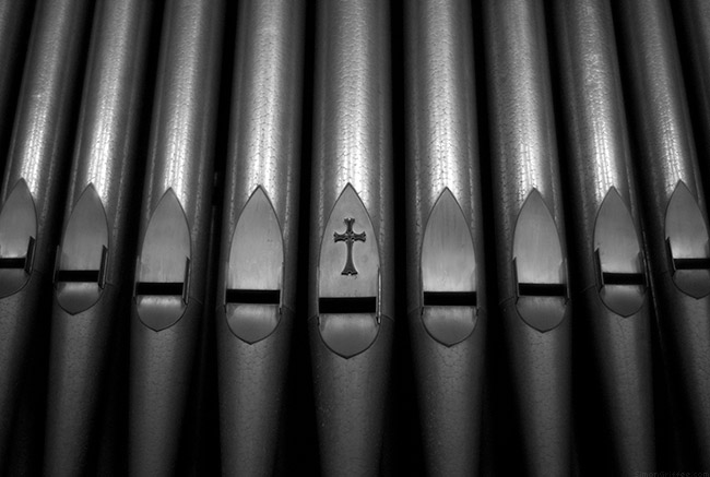 012 Organ Pipes