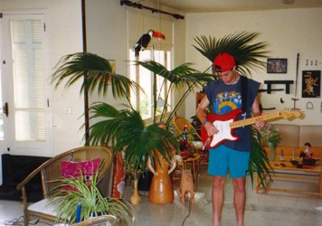 Livingroom guitar